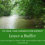 Leave a Buffer Facebook Post (002)