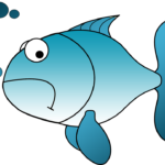 466477398_28011572978433895_4409823862673489846_n-1